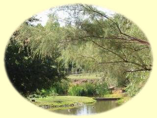 Canon City Florence Colorado Bed Breakfast Island Canon City Florence Colorado Bed Breakfast Island