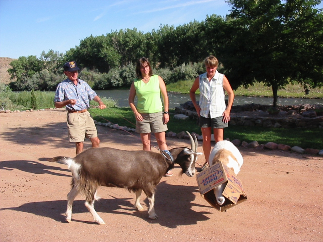 Enjoying the animals Enjoying the animals