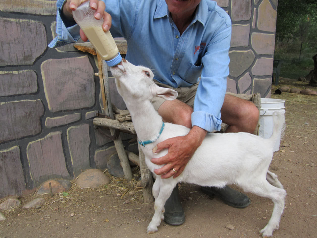 12 Mark Feeding Minnie at Canon City Florence Colorado Bed Breakfast